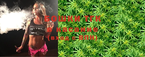 мдпв Горнозаводск