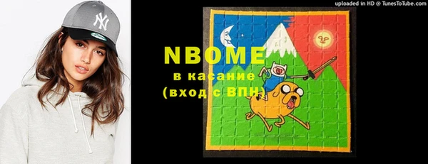 мдпв Горнозаводск