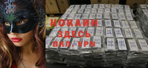 мдпв Горнозаводск