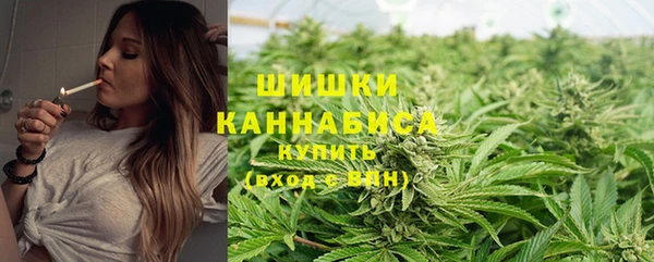 прущая мука Горно-Алтайск